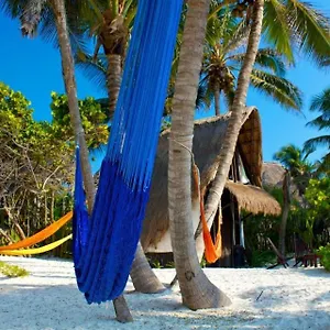 Playa Selva Lodge Tulum Pueblo
